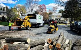 Newcastle, OK Tree Care Services Company